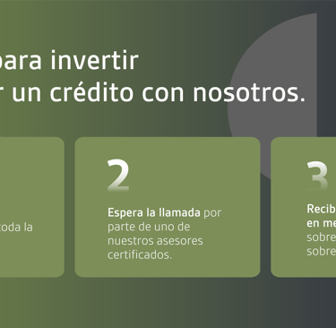 diseño gráfico editorial de color verde diseñado a tres columnas 