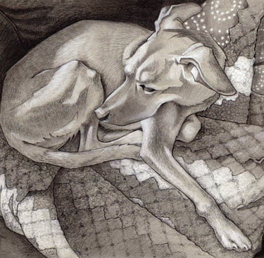 Pet portrait commissions