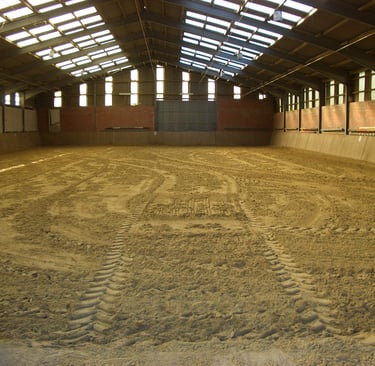 Indoor equestrian arena with fresh sand footing and skylights for natural lighting.