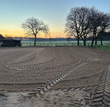 fresh sand horse outdoor arena at sunrise with trees in the background.