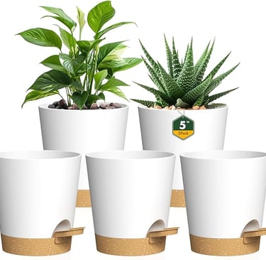 Set of white self-watering plant pots with green indoor plants, stylish home gift.