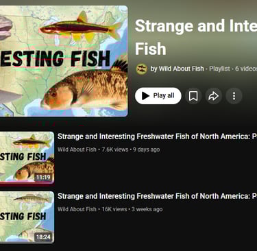 Screen shot of Interesting Fish playlist with thumbnails of fish covered in video