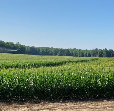 aerial crop protection application