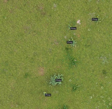 invasive species mapping