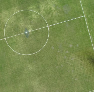 turfgrass offtype mapping