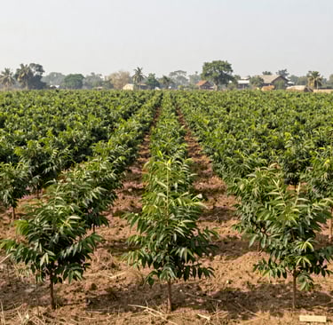 Bright living room with modern inventory