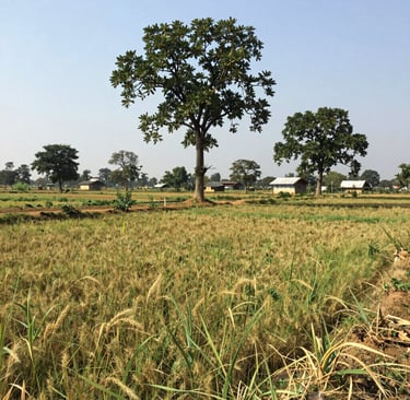 Bright living room with modern inventory