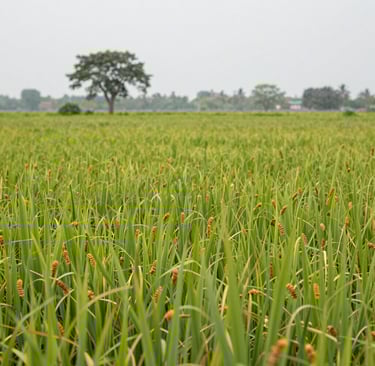 Bright living room with modern inventory