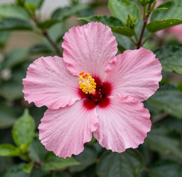 Bright living room with modern inventory