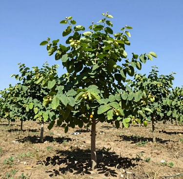 Bright living room with modern inventory