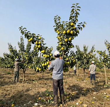 Bright living room with modern inventory