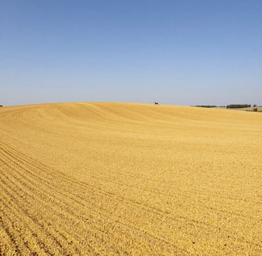Bright living room with modern inventory