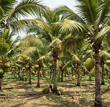 Bright living room with modern inventory