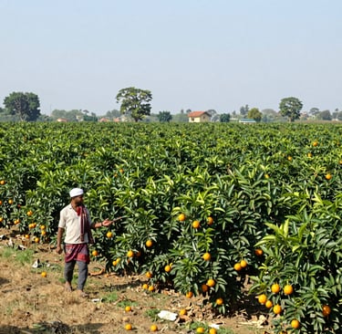 Bright living room with modern inventory