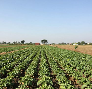 Bright living room with modern inventory