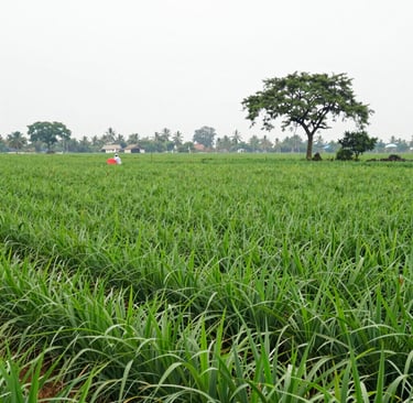 Bright living room with modern inventory
