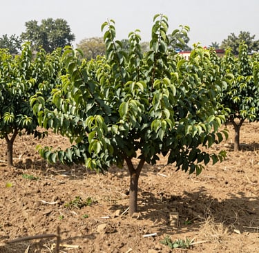 Bright living room with modern inventory