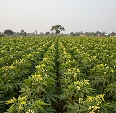 Bright living room with modern inventory