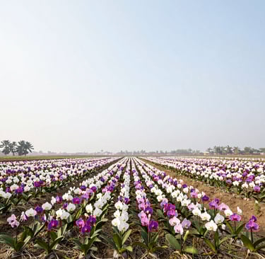 Bright living room with modern inventory