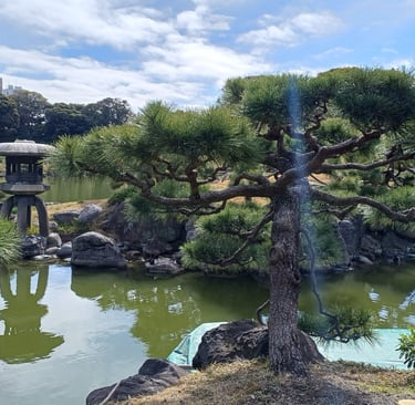 Club d'Aïkido de Mérignac Matsukazé