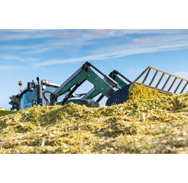 A green tractor uses a front loader to move harvested corn silage into a large pile for livestock feed storage.