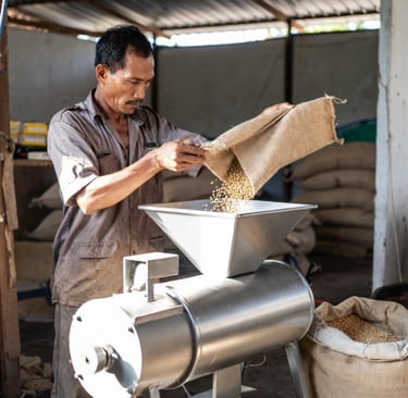 A worker pouring seeds from a burlap sack into a seed traters and coating machine.