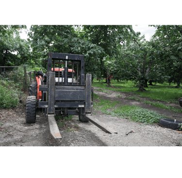 Orange rough terrain forklift parked on a gravel path in a green fruit orchard.