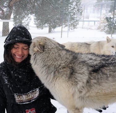 Crystal with wolfdog