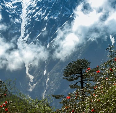 LACHUNG HOMESTAY