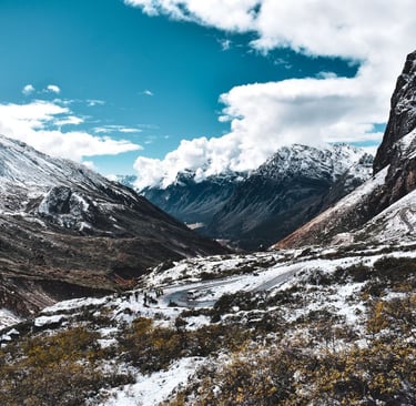 LACHUNG HOMESTAY