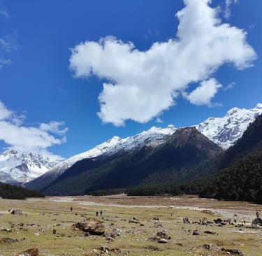 LACHUNG HOMESTAY