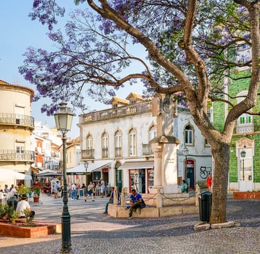 Sunny public square in Portugal featuring blooming jacaranda trees and historic tiled buildings.