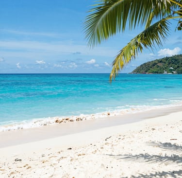 A cozy workspace with a laptop, a cup of tea, and a poppy flower on the desk, capturing a moment of inspiration.