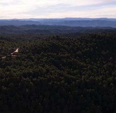 Trabajar en el campo
