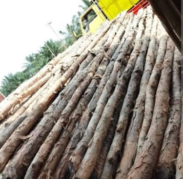 Kayu Dolken Gelam bahan bangunan