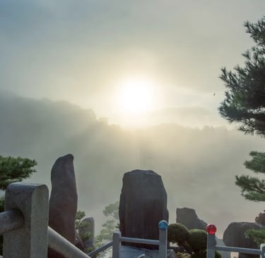 Stroll Through the Historic Land Known as the Birthplace of Kings