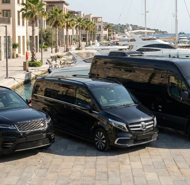 Didim luxury minivan chauffeur service 