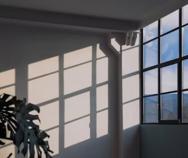 Sunlight casting window shadows on an interior wall.