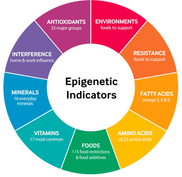 Epigenetic indicators chart showing nutrition, minerals, vitamins, fatty acids, amino acids, foods, 