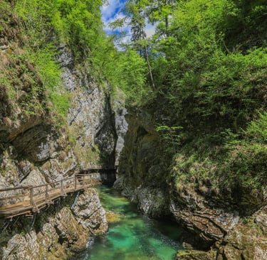 slovenia private driver ljubljana tours, vintgar gorge