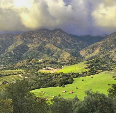 Beautiful green pasture in Santa Barbara.