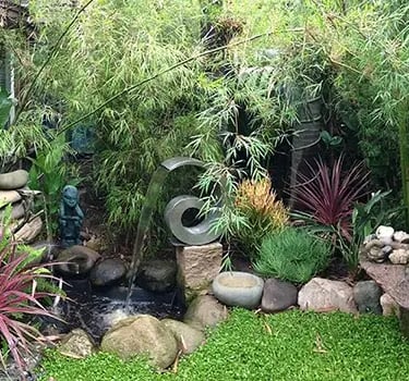 Lush, tropical Santa Barbara yard with bamboo, pond and fountain.