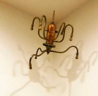 Talbotics sea creature at home in Santa Barbara.