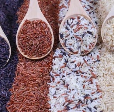 tipos de arroz