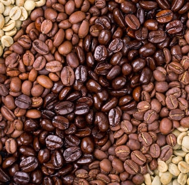 variedade de grãos de café 