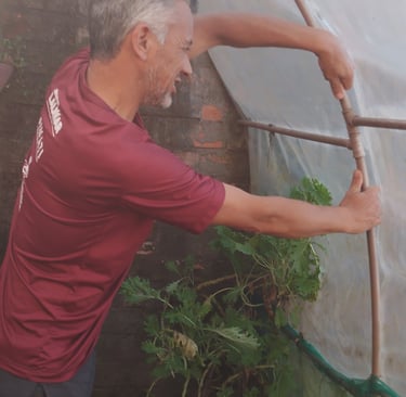Foto minha dentro da estufa da horta