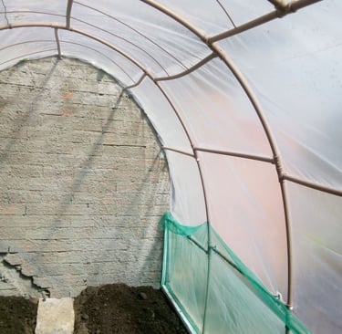 Foto real da estufa pronta arcos de pvc e plastico