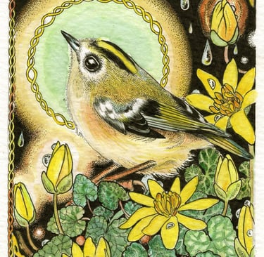 goldcrest illustration among yellow celandine flowers and green leaves in a mystical stippled style.