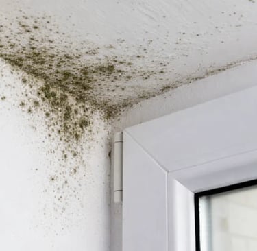 A corner with mold stains