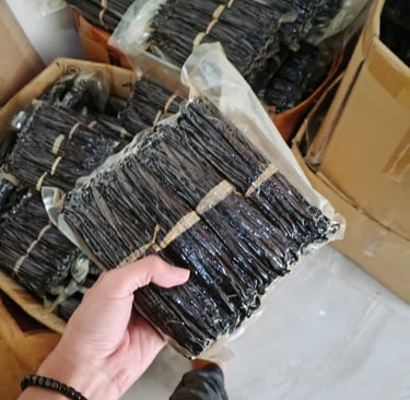 vanilla beans vacum packed